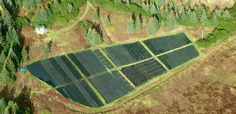 Aerial view of our Farm