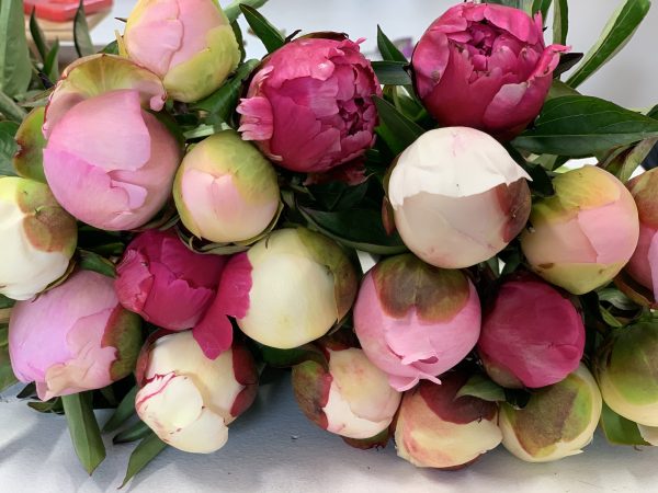 Subscription Bouquets - Image 3