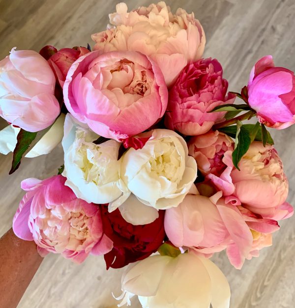 Subscription Bouquets - Image 2