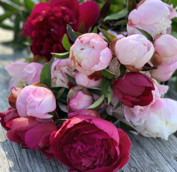 Subscription Bouquets - Image 4