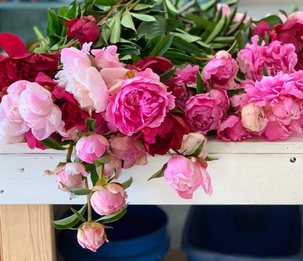 Subscription Bouquets - Image 5